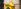 CS-Maxi-Banner_newsletter_Image_wise2324